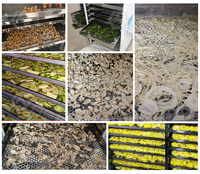 Aangepaste Industriële Elektrische Peper Moringa Vlees Droog Blad Dehydrator Fruit Groente Voedsel Cassave Droger Chili Droogoven Machine