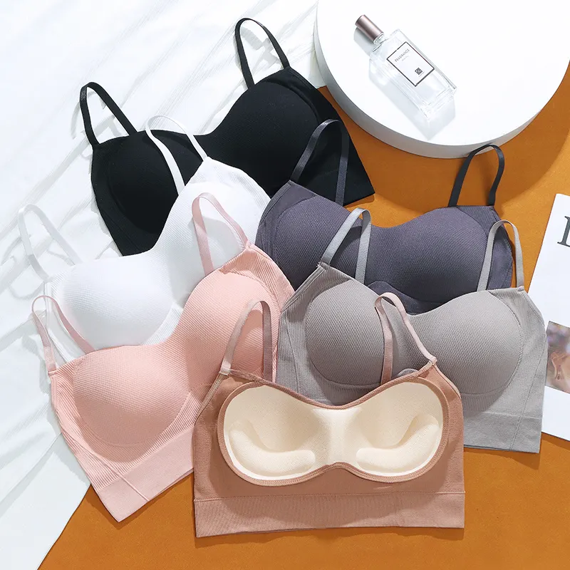 Sutiã fixo em uma peça, colete acolchoado sem alças bralette