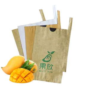 Customised size bangladesh paper mango tree fruit cultivation growing protection bag for agriculture use