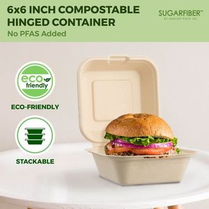 Custom a conchiglia in fibra vegetale eco-friendly usa e getta bagassa 6*6 3 vano a conchiglia di canna da zucchero bagassa contenitore Box - Product Image 6