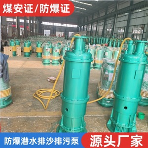 Bomba Sumergible Antiexplosión BQS para Minería, 132 HP, Conexión de Brida, Cable de 25m, Bomba Centrífuga para Minería de Carbón - Product Image 2