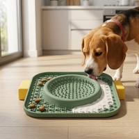 Tapis d'alimentation lente en silicone avec ventouses tapis de léchage anti-étouffement pour chats et chiens