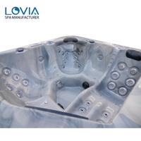Vente en gros de bain à remous extérieur élégant et tendance, le meilleur bain à remous de massage Balboa Spa pour 6 personnes avec hydromassage