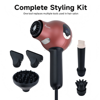 B2B Exklusiv 1600W Hochgeschwindigkeits-Haartrockner Professionelles Salon 5-in-1 Styling-Set OEM/ODM Private Label MOQ 500 Kundenspezifische Marke
