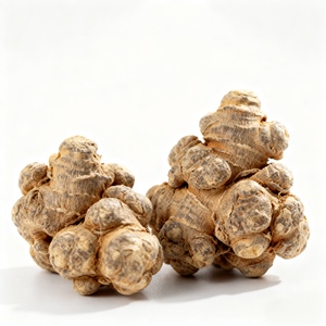 Bán chạy nhất chất lượng tinh khiết <span class=keywords><strong>Panax</strong></span> <span class=keywords><strong>notoginseng</strong></span> Hữu Cơ <span class=keywords><strong>Radix</strong></span> <span class=keywords><strong>notoginseng</strong></span> từ Trung Quốc - Product Image 4