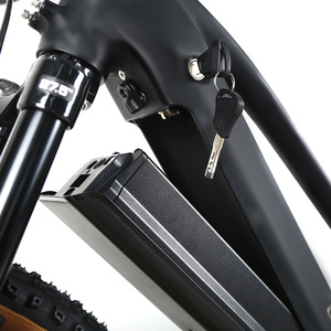 Kit de motor eléctrico Bafang Ec1 M510 para bicicleta con pantalla LCD y soporte para manillar para conversión de bicicleta eléctrica - Product Image 2