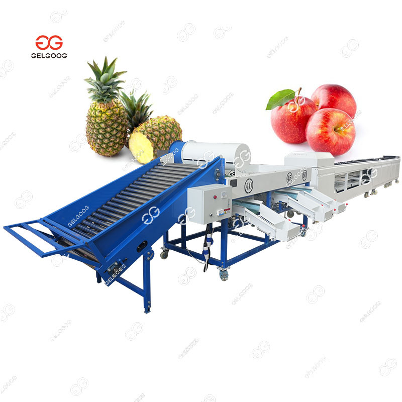 Cape Gooseberry Fruit Sorter Vegetable Sorting