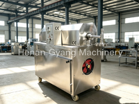 Machine d'extrusion de vermicelles de tapioca et de patate douce 100 kg/h du fournisseur chinois à prix compétitifs