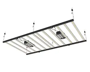 Đèn Led Trồng Cây Đặc Biệt Kingbright Heavy Duty Điều Chỉnh 1000 W Meiju 240W