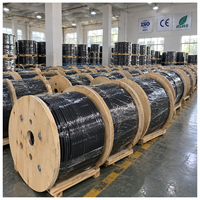 Câble optique extérieur UKCC GJYXCH 1 2 4 fibres avec messager en acier pour ligne d'abonné FTTH