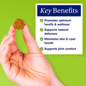 Vitaminas naturales OEM para perros con biotina Msm, multivitaminas para mascotas, sabor a pollo, masticables suaves, suplemento inmunológico, multivitaminas para mascotas - Product Image 2