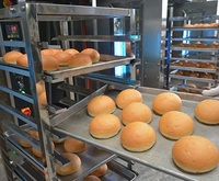 Langlebiger und Verstärkter Backblechwagen Bäckereiwagen Tablettwagen Backregal Kühlregal Blechregal
