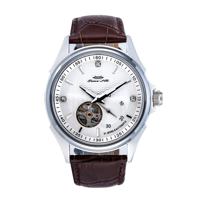 Custom Brand Logo Factory Wholesale Stainless Steel Case Watch Black Brown Mechanical Automatic Men's Luxury Wristwatch