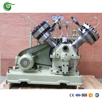 Compresor de Diafragma de Helio de 11KW, Fabricado en China, Diseño Personalizado, Venta Directa de Fábrica, Equipo para Industria General