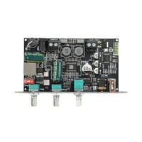 Module de carte amplificateur ZK-1001U DC9-24V Mono, prend en charge la puce d'amplificateur APP TPA3116D2