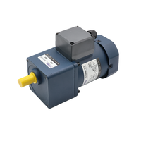 Moteur à induction à vitesse élevée personnalisé de 60 W, petit moteur à induction, contrôle de la vitesse, 220 V monophasé, 50 Hz/60 Hz, efficacité IE3, moteur à engrenages à courant alternatif