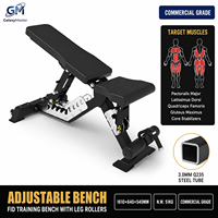 Banc d'entraînement réglable FID avec rouleaux pour les jambes et réglage en échelle chromée, équipement de gym commercial et domestique