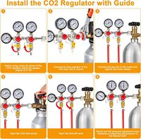 Régulateur de pression de bière à double sortie pour fût, régulateur de réservoir de CO2 CGA-320, sortie à raccord cannelé 5/16 pouces pour brassage artisanal