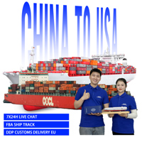Agent de Consolidation d'Expéditions Chine-UE DDP, Dédouanement, Fret Maritime, Importateur de Marchandises, DDP DDU LCL FCL