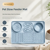 Bol de Nourrissage Lent en Silicone pour Chiens, Anti-Étouffement, avec Ventouse, Tapis de Léchage pour Chiots et Chats, Vente en Gros, Personnalisable OEM