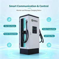 Nouvelle borne de recharge DC pour véhicule électrique 120 kW/160 kW, chargeur rapide extérieur IP54 avec double connecteur, écran tactile Android 7 pouces