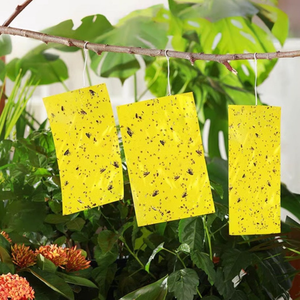 Trampas para insectos de huerto pegajosas ultrafuertes: proteja sus árboles frutales de las plagas - Product Image 5