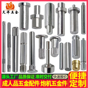 Tianyang Hardware Magnetic Plugs Pins Shafts Guide Shafts Knurled Drive Shafts For Robot Applications Stainless Steel Iron - Product Image 2