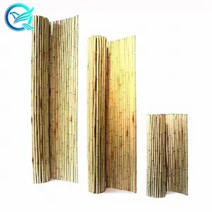 Clôture en bambou, design de jardin d'extérieur en treillis, clôture,