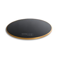 Plaque chauffante électrique portable pour la cuisine domestique, en acier inoxydable, à commande tactile réglable, de fabrication allemande