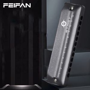 FEIFAN, armónica diatónica profesional de 12 agujeros, todo el órgano de boca clave para principiantes y estudiantes, regalo perfecto para adultos - Product Image 2