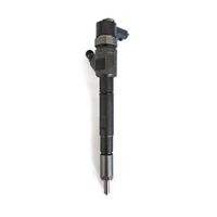 0445110647/ 0 445 110 647 Inyector de Combustible Common Rail de Alto Rendimiento, Piezas de Repuesto Probadas de Calidad Estable