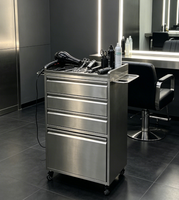 Chariot de Salon Moderne en Acier Inoxydable pour Professionnels de la Beauté, Idéal pour les Salons de Coiffure