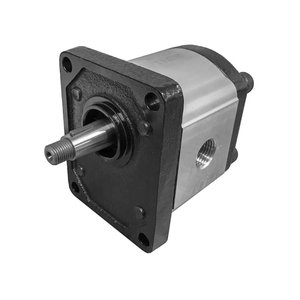 Bomba de Engranajes ALP2-D-25 Italy MAR-ZO-CCHI ALP2-D-30 ALP2-D-20/22 - Product Image 3