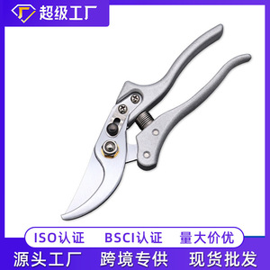 Yangjiang <b>Pruning</b> Shears 8.5 Inch Alloy Steel Blade Garden <b>Tool</b> For <b>Tree</b> Trimming - Product Image 5