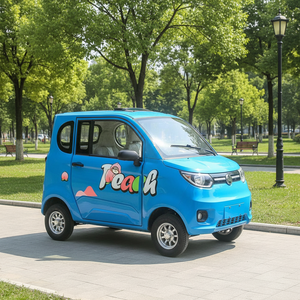 Véhicule électrique domestique à quatre roues, mini véhicule de transport, nouvelle énergie, autonomie inférieure à 100 km, usage adulte - Product Image 4