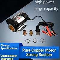 Pompe à carburant diesel 12V DC 24V auto-amorçante portable à haut débit en fonte pour tracteur et véhicule CE OEM