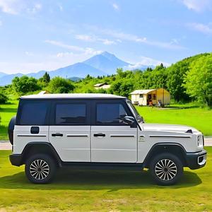 Vehículo Eléctrico de Baja Velocidad para Uso Agrícola, Gran Autonomía, Freno de Seguridad, Gran Capacidad de Carga para Transporte Agrícola - Product Image 3