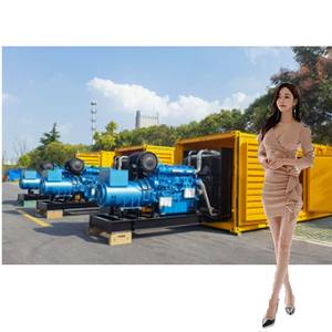 เครื่องกำเนิดไฟฟ้าดีเซล500kva แบบเก็บเสียง400kw ใช้พลังงานจาก Sweden EPA Tier 4มอเตอร์สำหรับใช้ในเรือนกระจก40kw เครื่องกำเนิดไฟฟ้าทางทะเล - Product Image 4