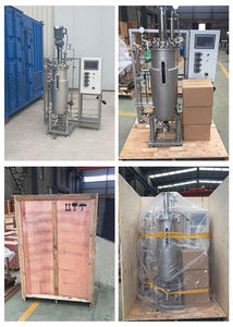 Innova 5l 1000l Biologische Reactor Industriële Microbiologie Roestvrijstalen Fermentatietank Oem 1 Jaar Garantie Ce Gecertificeerd - Product Image 6