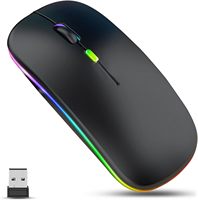 Souris Bluetooth avec connecteur Type C Souris Bluetooth rechargeable pour Macbook Pro/Macbook Air/ordinateur portable/iMac/iPad