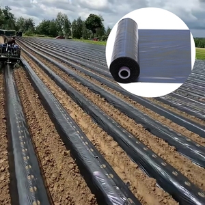 Película de Cobertura Biodegradable <span class=keywords><strong>para</strong></span> Control de Malezas, Película de Polietileno Negra/Plateada <span class=keywords><strong>para</strong></span> Agricultura - Product Image 6