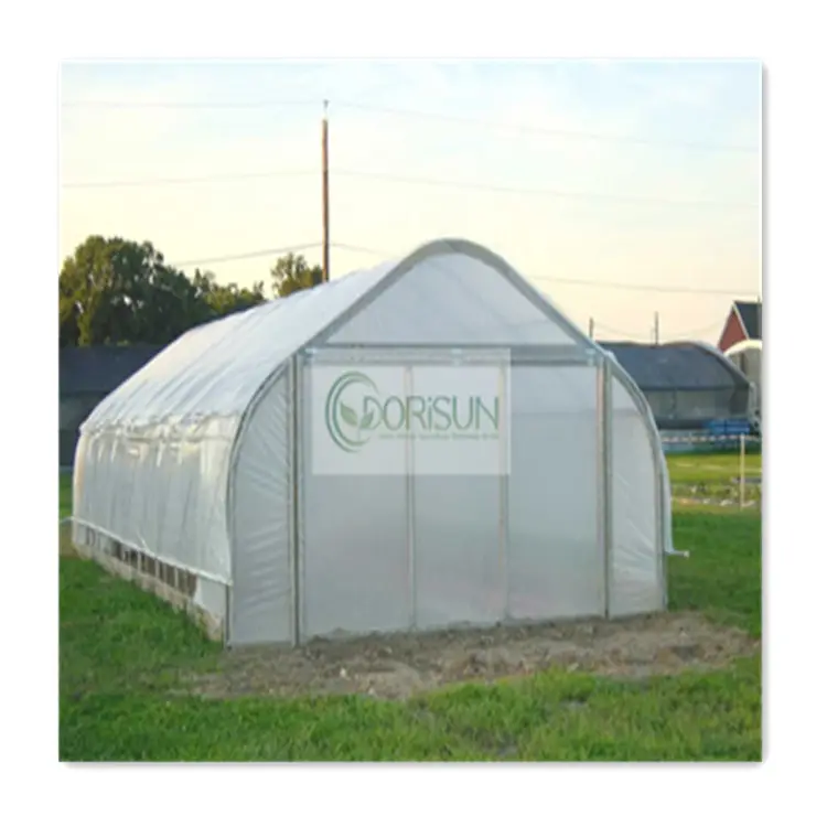 Micro สปริงเกลอร์ชลประทานระบบการเกษตรเรือนกระจกท่อโค้งตั้งพืชถาดเกษตรเรือนกระจก
