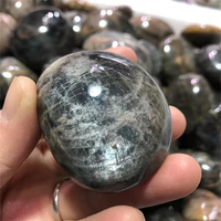 Nouveautés Pierre de lune noire naturelle Pierre de palmier en cristal pour guérir le Reiki