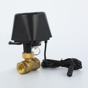 Brass Internal Thread Connection Stainless Steel Two-Way Solenoid <b>Valve</b> Switch Type Proportional Integral <b>Valve</b> <b>Control</b> <b>Valves</b> - Product Image 4