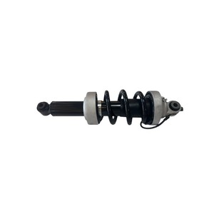 Amortiguador AT2124C1L AT2124C1R para R8 OE 420412019AG 42041201AJ 420412019Q Pieza de Repuesto para Automóvil - Product Image 1