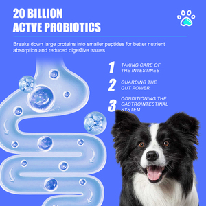 Cibo per cani personalizzato OEM/ODM Premium-alta appetibilità 25% opzioni Multi-sapore e forma di Formula senza crocchette secche proteiche - Product Image 2