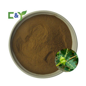 サポニン<span class=keywords><strong>70</strong></span>% サプリメントttribulus terrestrisカプセル<span class=keywords><strong>tribulus</strong></span> terrestrisエキス粉末工場供給 - Product Image 1