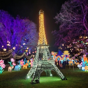 Statua della Torre <span class=keywords><strong>Eiffel</strong></span> Illuminata a LED Gigante di 8m / Grande Scultura Metallica Luminosa per Festival della Luce e Decorazioni per Spettacoli Notturni - Product Image 1