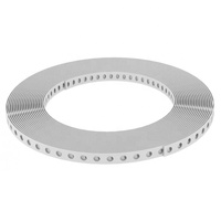 Chất Lượng cao Tùy Chỉnh 304 SS 40mm Đục Dải Thép