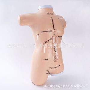 Modèle de démonstration de suture et de bandage chirurgical KBS/FH, modèle de suture, modèle de bandage pour plaies, formation en nettoyage des plaies pour infirmières - Product Image 2